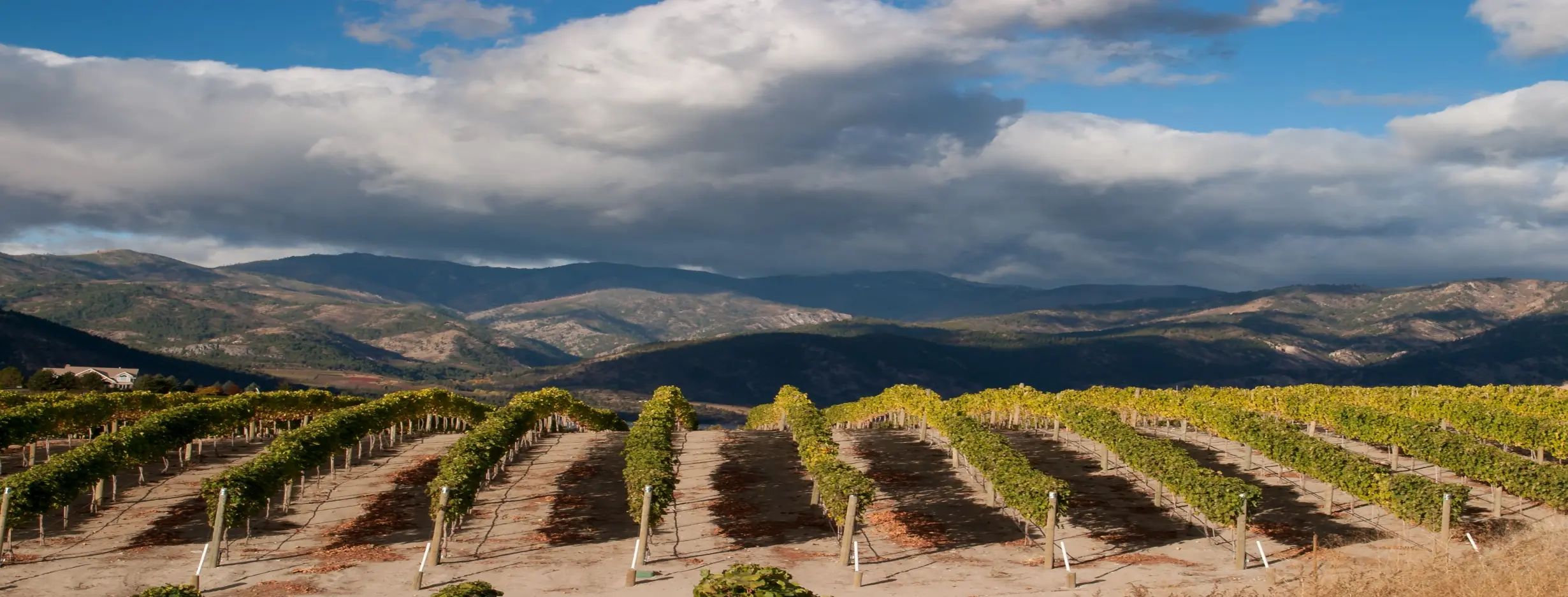 Image for Wine Country